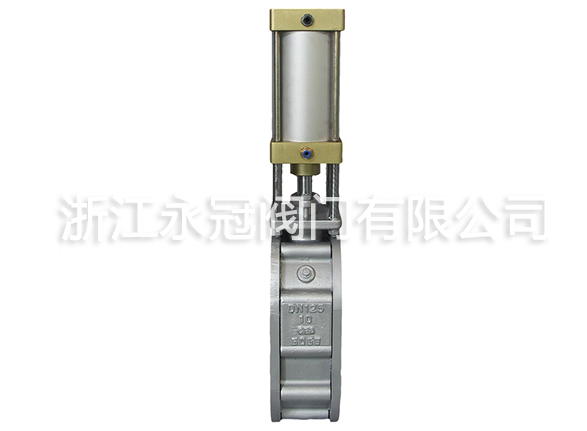不锈钢陶瓷双闸板阀